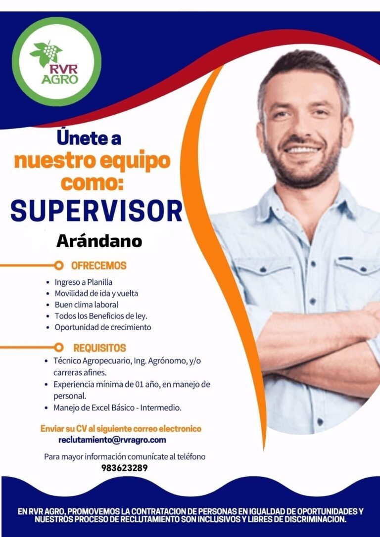 Supervisor de Arándano para agricola RVR agro