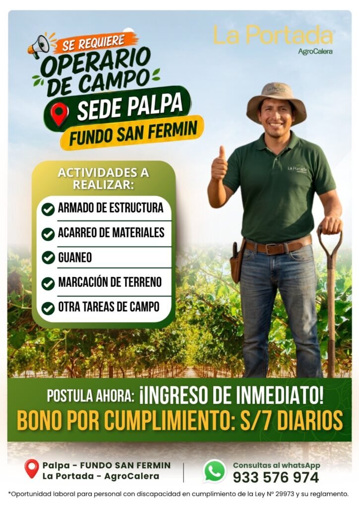 Operarios de campo en el fundo san fermin - La portada Agrocalera - Imagen 1
