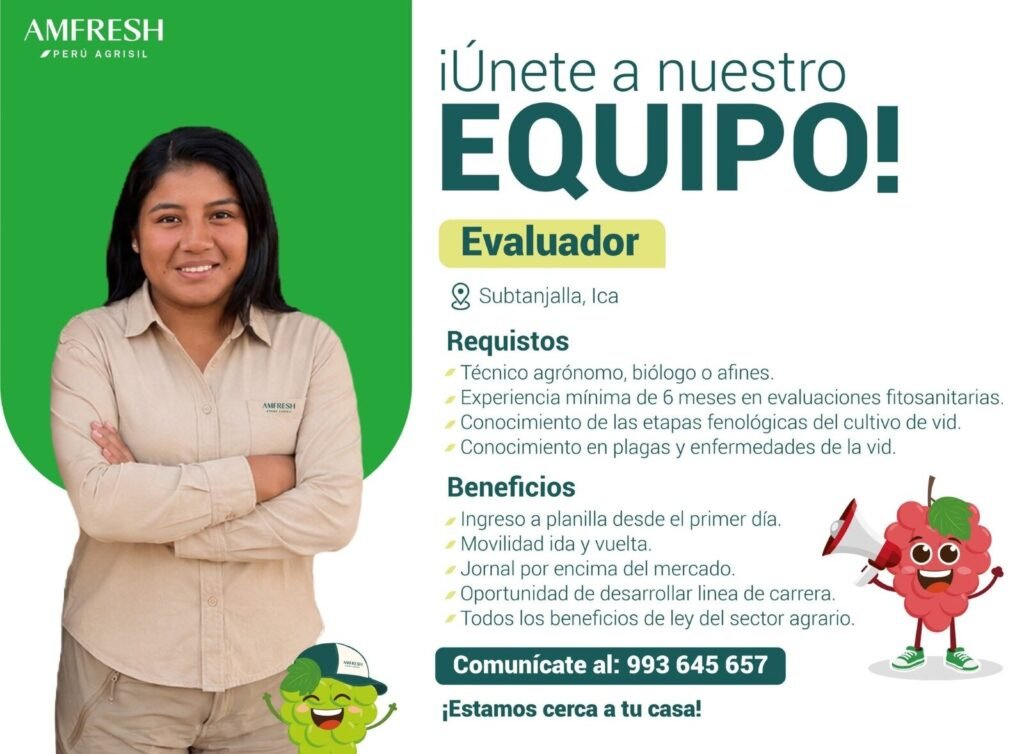 Se requiere un evaluador fenológico para - Amfresh Agrisil - Imagen 1