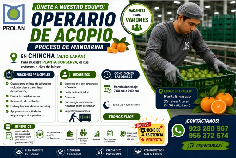 Operarios de Acopio en Chincha