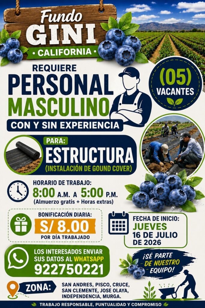 Personal masculino (con y sin experiencia) para labores de estructura - Imagen 1
