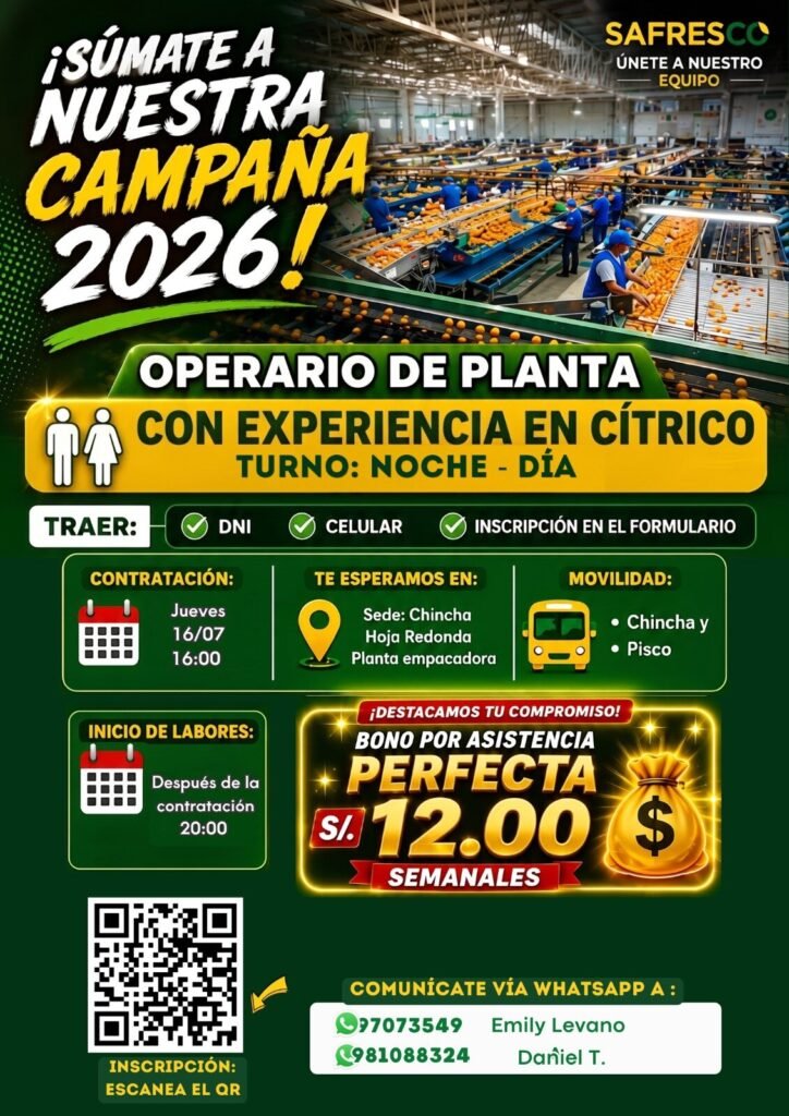 Se requiere operarios de packing para labores de cítricos en Chincha – Safresco