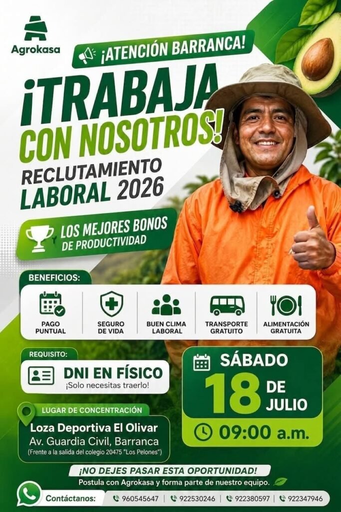 Se requiere cosechadores de palta en Agrokasa Barranca