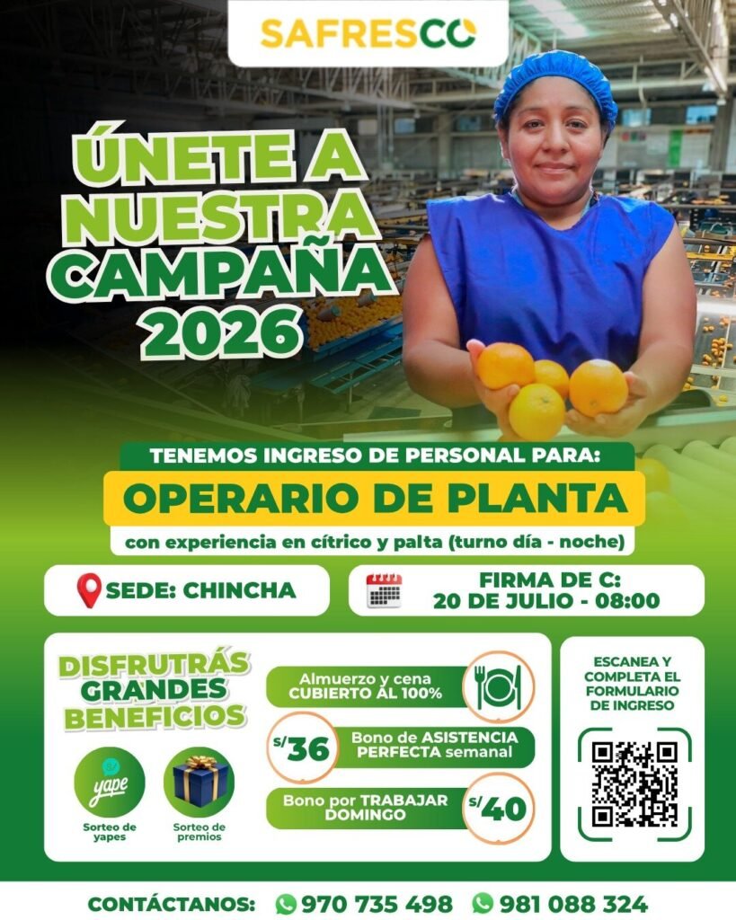 Buscamos operarios para nuestro packing en Chincha – Safresco