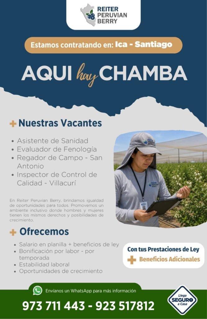 Nuevas oportunidades laborales en Reiter Peruvian Berry