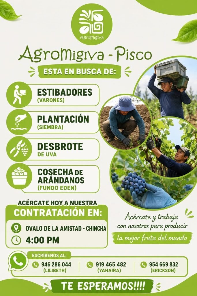 Se requiere operarios de packing en Prolan