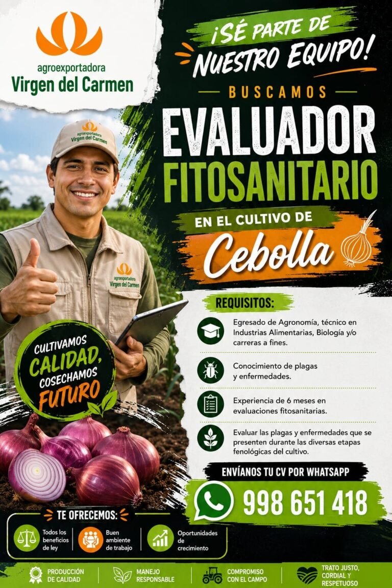 Evaluador fitosanitario para el cultivo de cebolla en Agroexportadora Virgen del Carmen