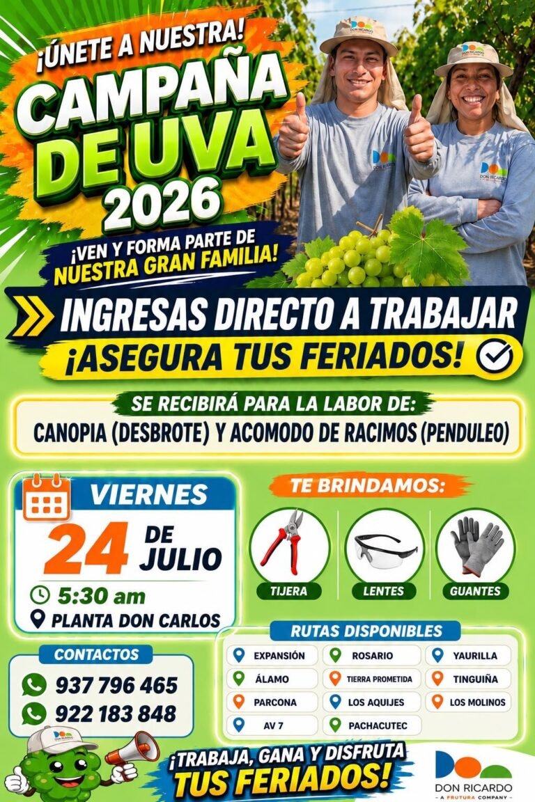 Canopia (desbrote) y acomodo de racimos (penduleo) en Agricola Don Ricardo