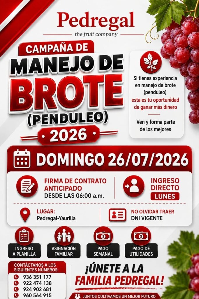 Campaña de manejo de brote (penduleo) 2026 - Imagen 1
