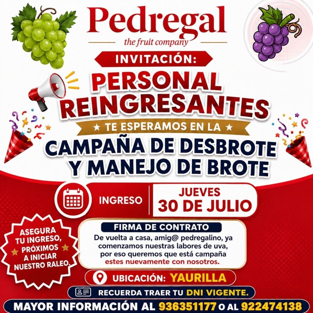 Campaña de desbrote y manejo de brote en el Pedregal Ica - Imagen 1