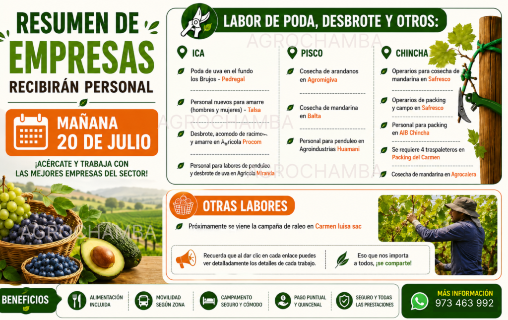 Resumen de empresas que recibirán personal mañana 20 de julio