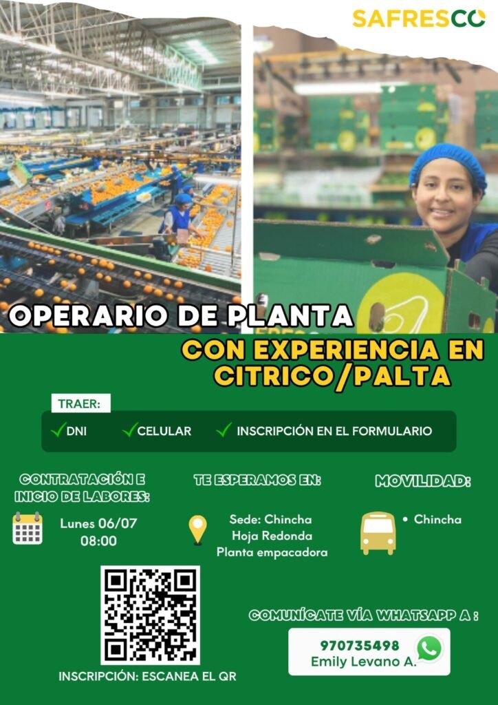 Operarios de packing en Safresco Chincha y para mantenimiento de campo - Palta - Imagen 1