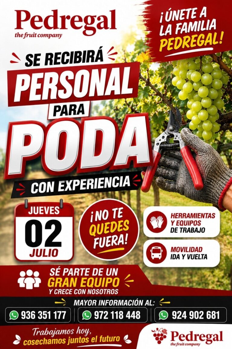 Se requiere personal para poda en el fundo Yaurilla – Pedregal Ica