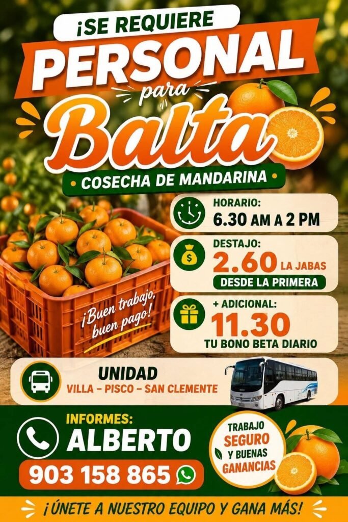 Cosecha de mandarina en Balta
