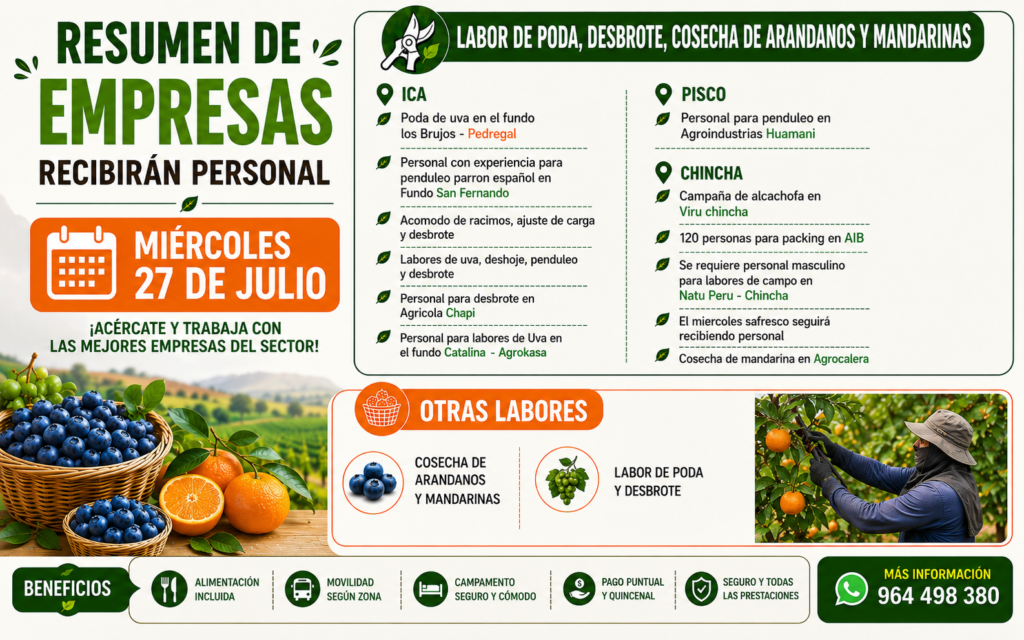 Resumen de empresas que van a recibir personal mañana 26 de julio en Ica - Imagen 1