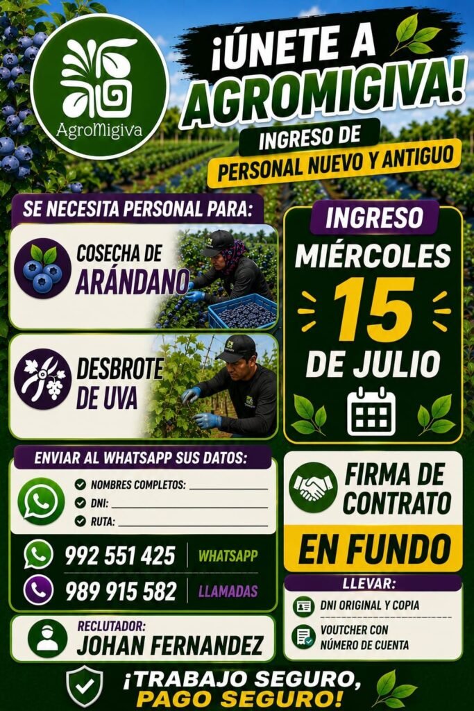 Personal para Cosecha de Arándano y Desbrote de Uva en Ica - Imagen 1