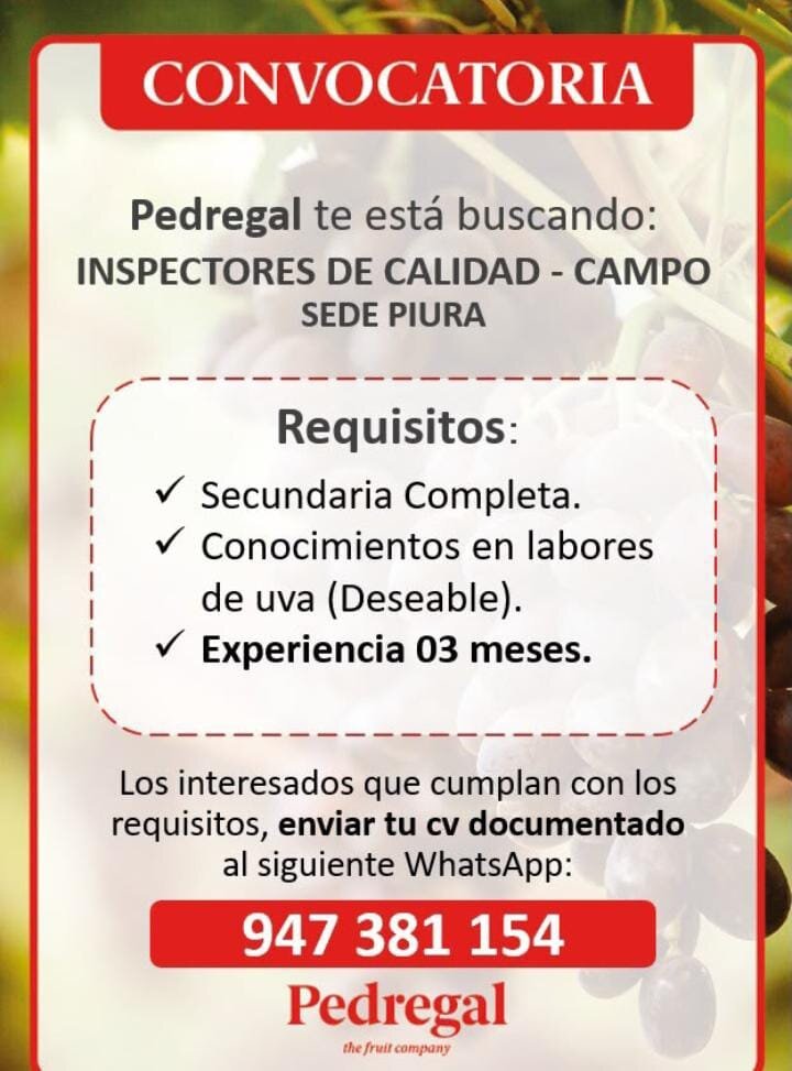 Inspectores de Calidad en Empresa Agrícola Pedregal, Piura