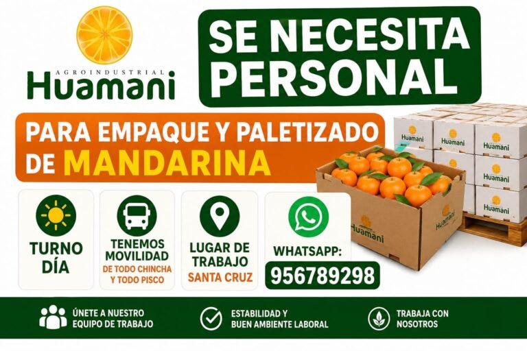 Personal para Empaque y Paletizado de Mandarinas en Pisco