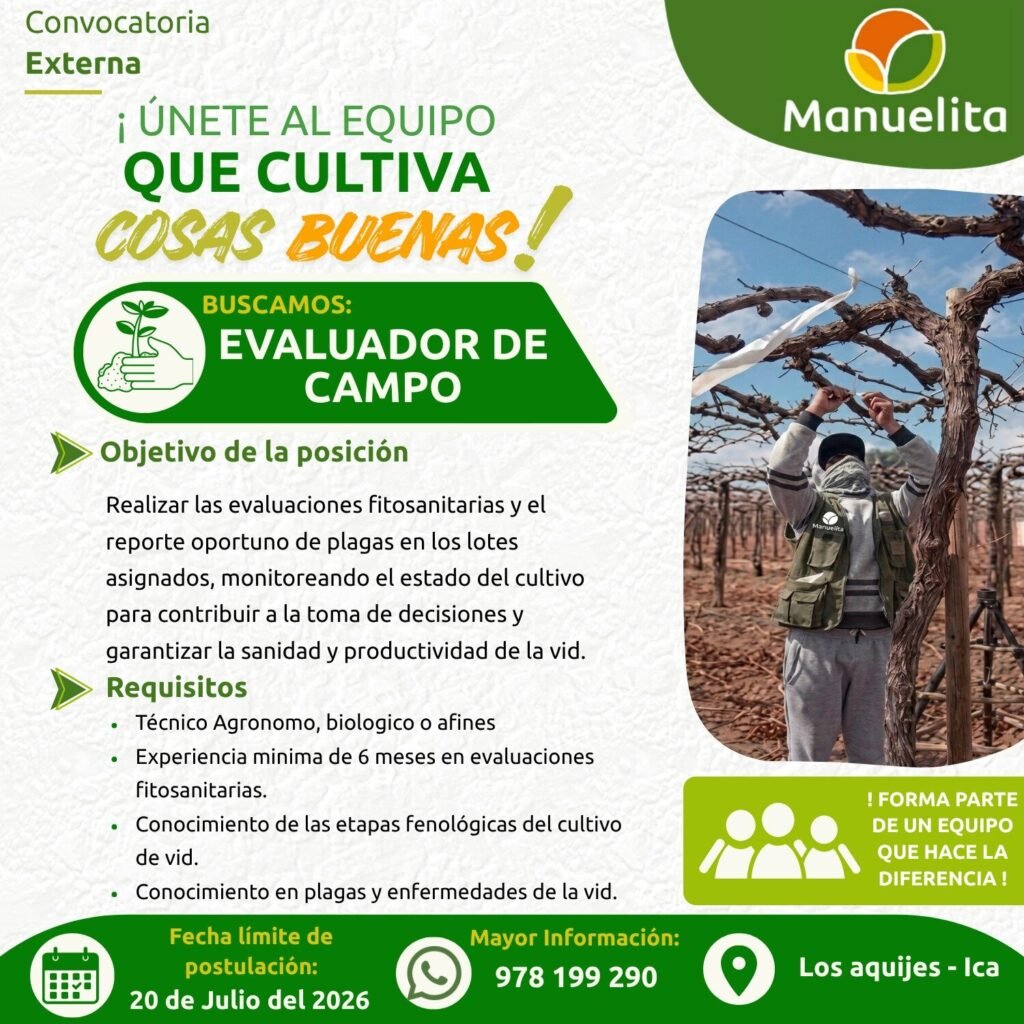 Evaluador de Campo para Manuelita en Los Aquijes, Ica - Imagen 1