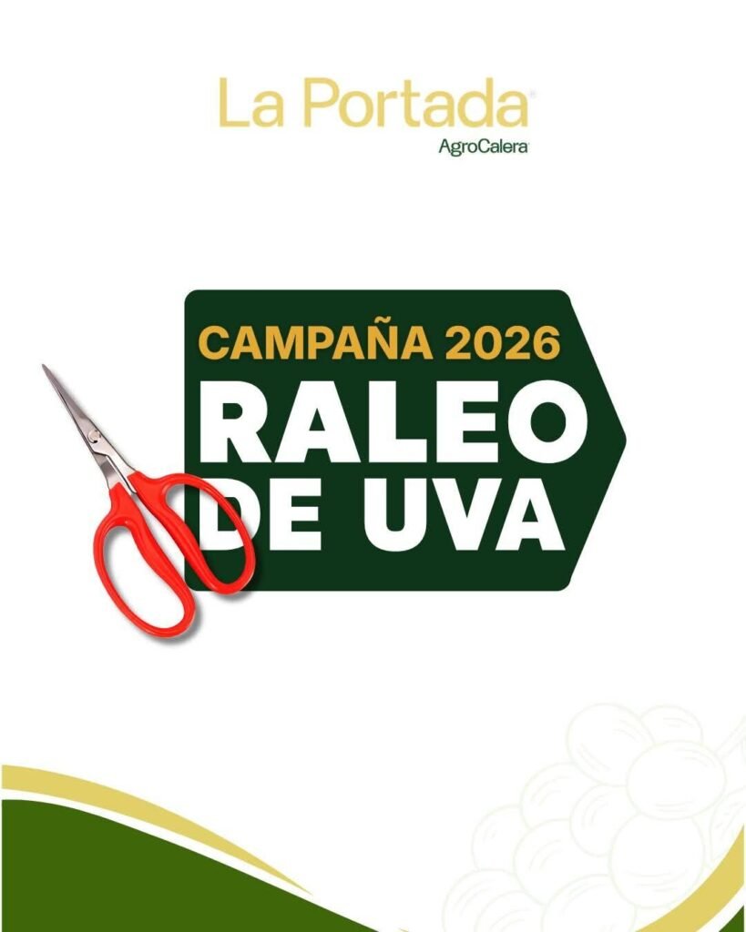 Campaña de raleo de uva en la portada AGROCALERA, Ica Perú