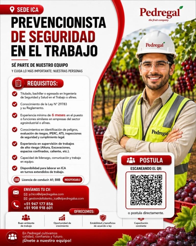 Prevencionista de Seguridad en el Trabajo para Ica