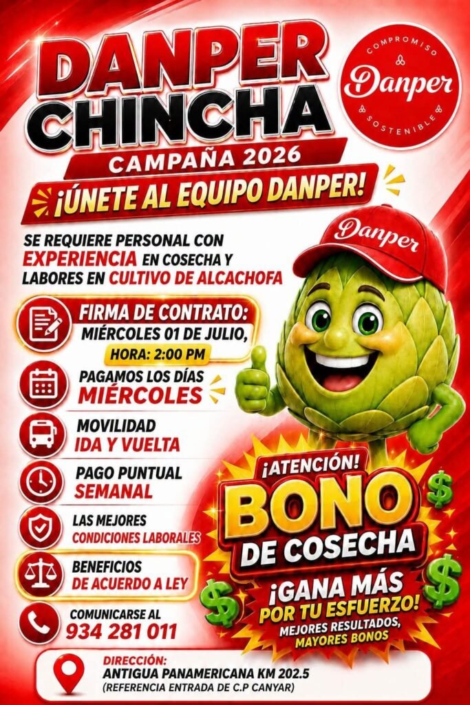 Personal para Cosecha de Alcachofa en Chincha - Campaña 2026 - Imagen 1
