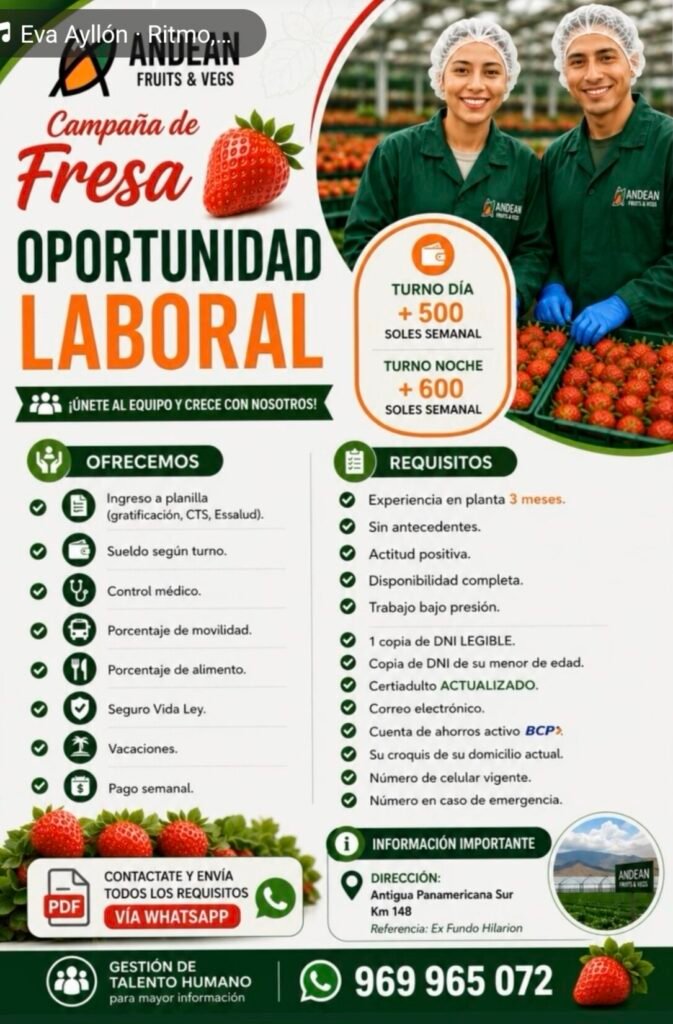 Jornaleros para Campaña de Fresa en Antigua Panamericana Sur - Imagen 1