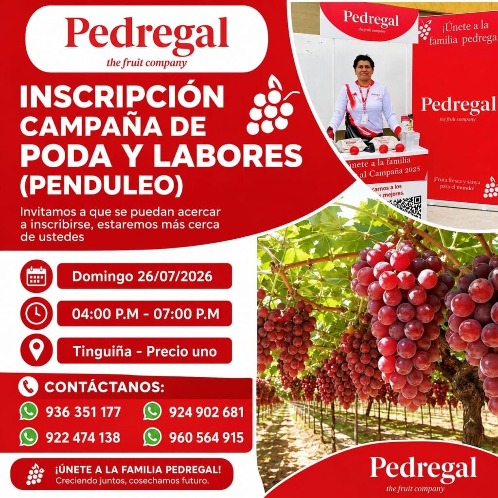 Operario Agrícola para Campaña de Poda y Penduleo