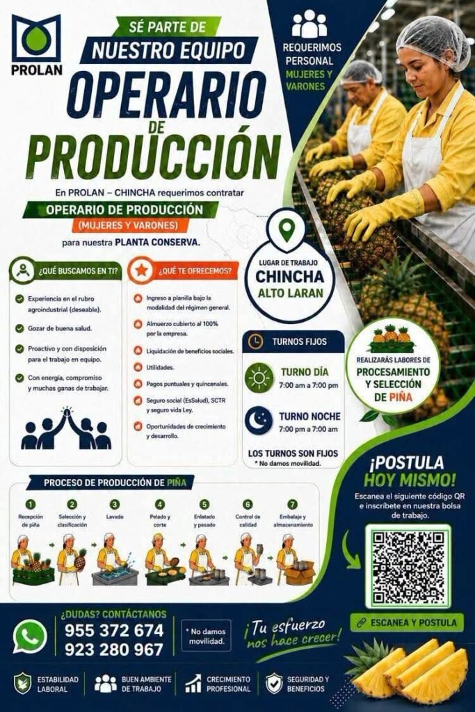 Operarios de Producción para Planta de Conserva de Piña en Chincha