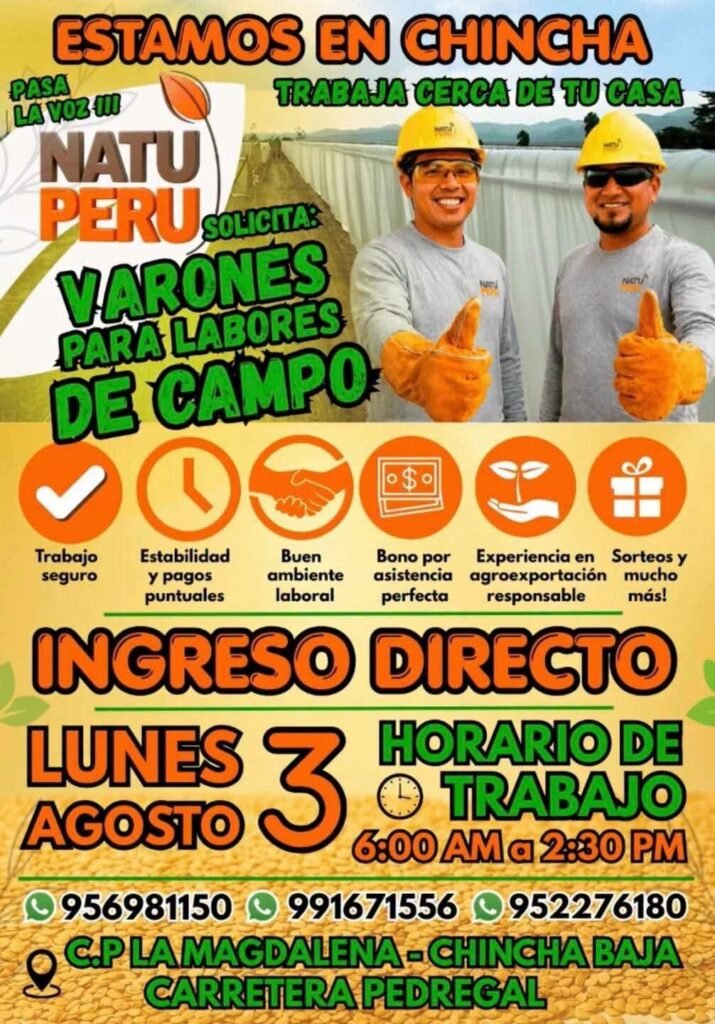 Varones para Labores de Campo en Chincha Baja, Ica - Imagen 1