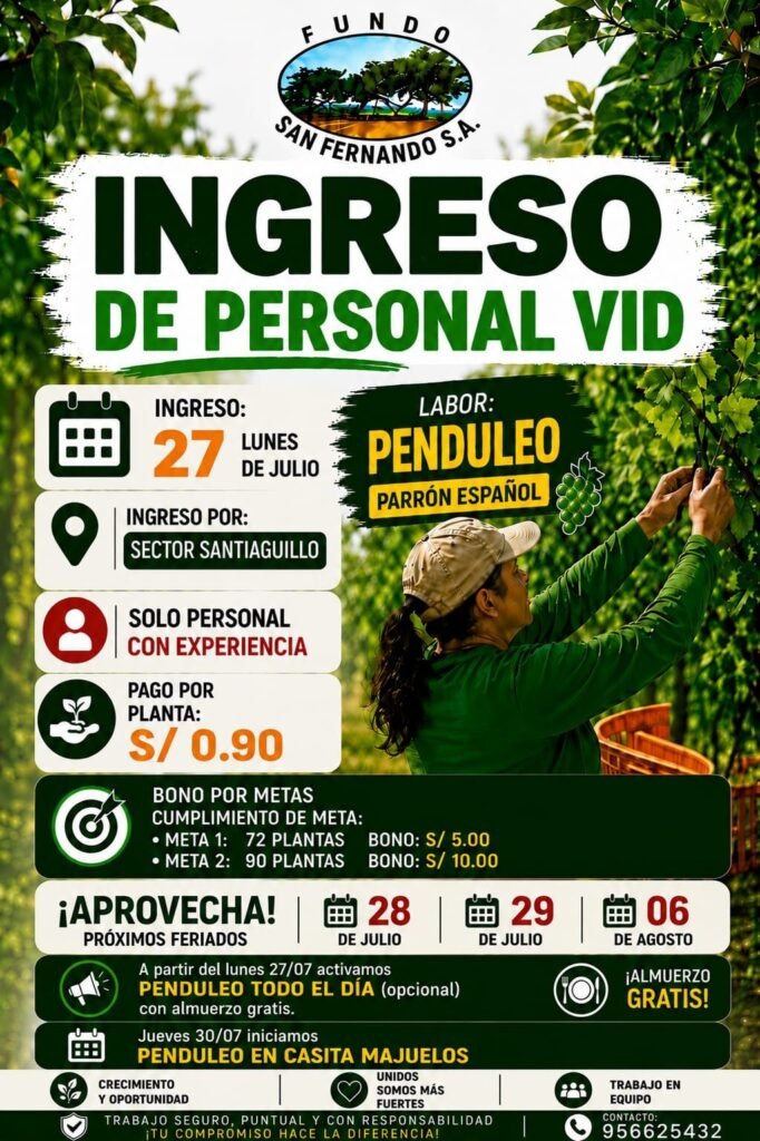 Personal con Experiencia en Penduleo, fundo san Fernando - Imagen 1