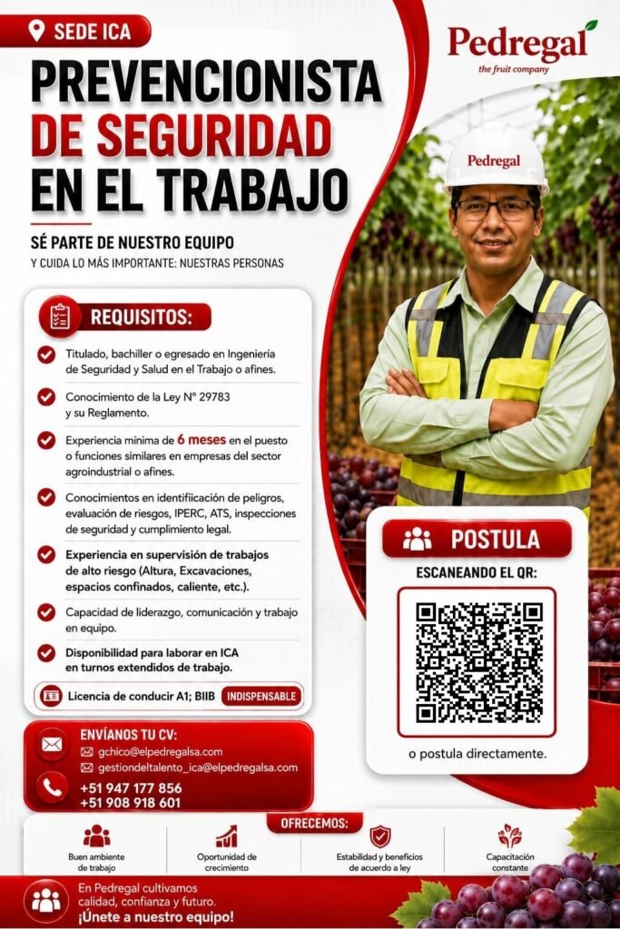 Prevencionista de Seguridad en el Trabajo para Ica, Pedregal - Imagen 1