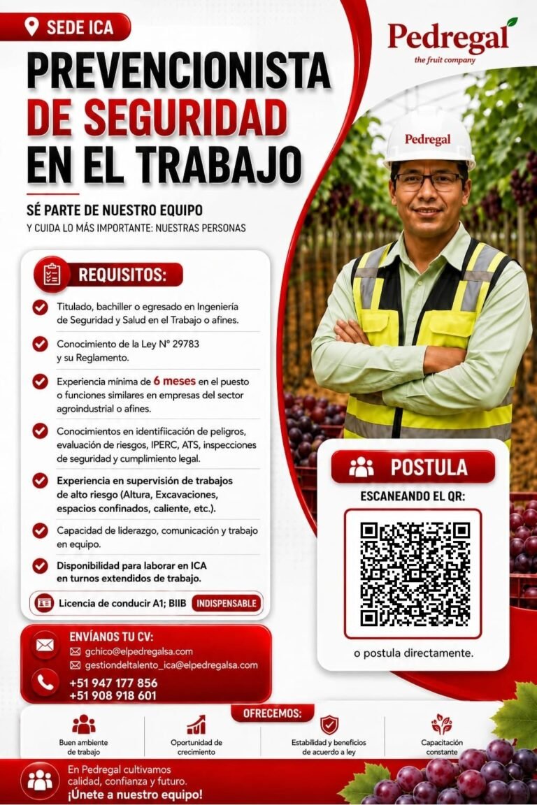 Prevencionista de Seguridad en el Trabajo para Ica, Pedregal