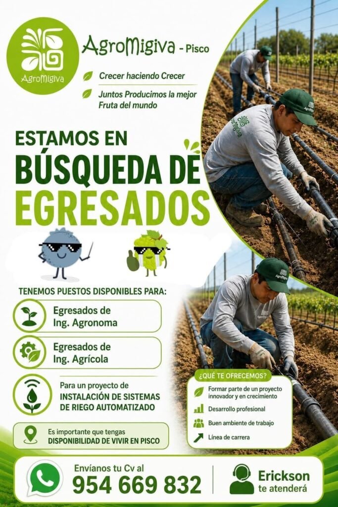 Egresados de Ingeniería Agronómica en Pisco para Riego Automatizado - Imagen 1