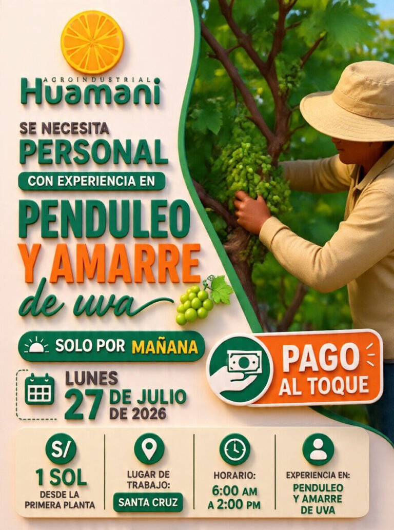 Trabajadores para Penduleo y Amarre de Uva en Santa Cruz