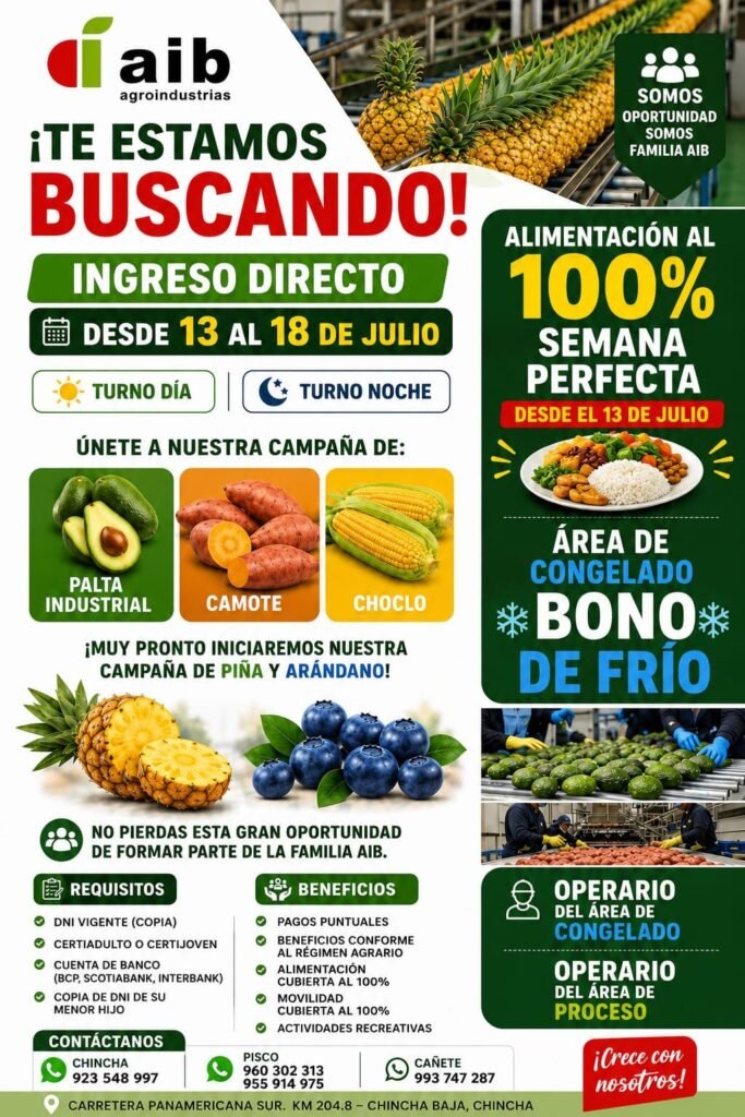 Campaña de packing de palta, camote, choclo, arándanos y piña en Chincha Baja, Ica - Imagen 1
