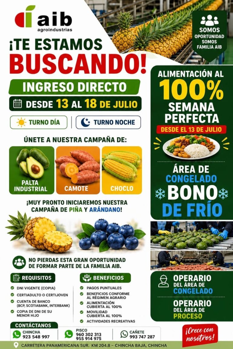Campaña de packing de palta, camote, choclo, arándanos y piña en Chincha Baja, Ica
