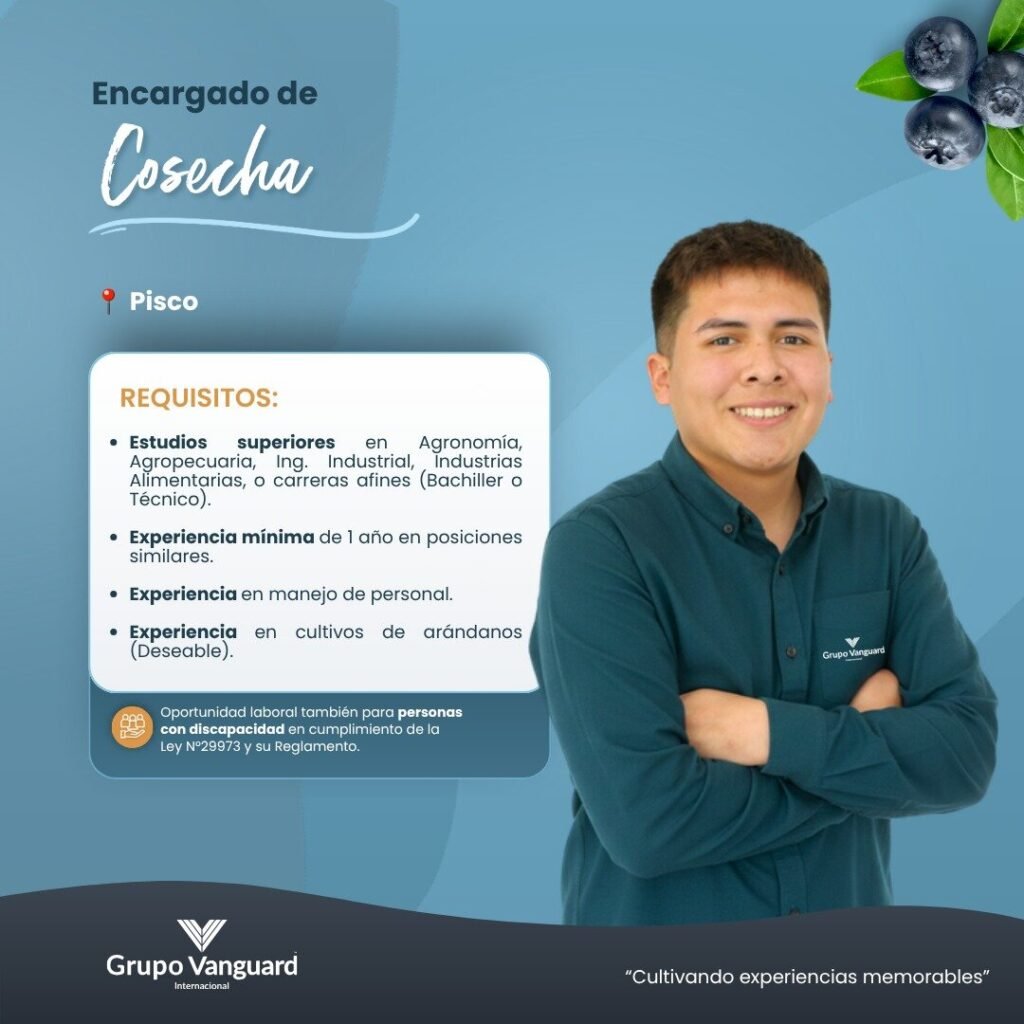 Encargado de Cosecha en Grupo Vanguard Internacional, Pisco