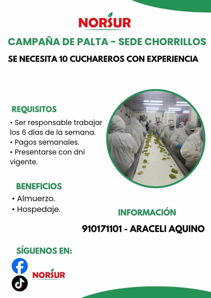 Cuchareros para Campaña de Palta en Chorrillos - Imagen 1