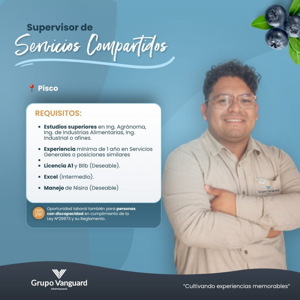 Supervisor de Servicios Compartidos en Pisco, Grupo vanguard