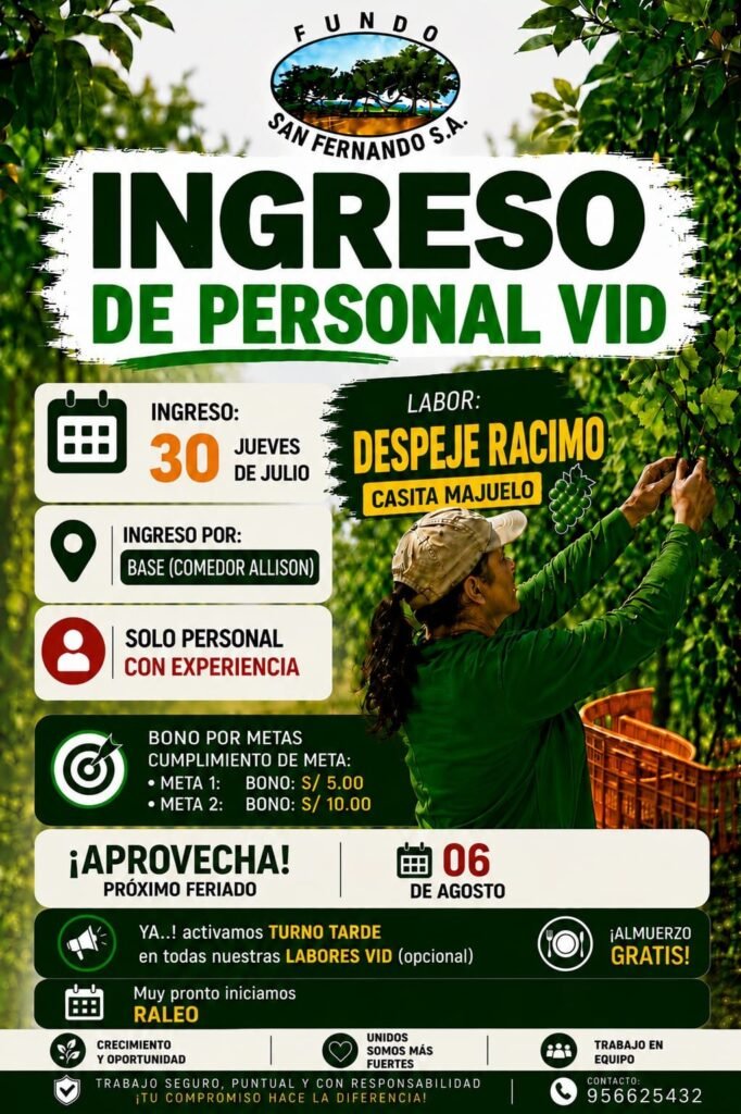 Personal para Despeje de Racimos en fundo san Fernando - Imagen 1