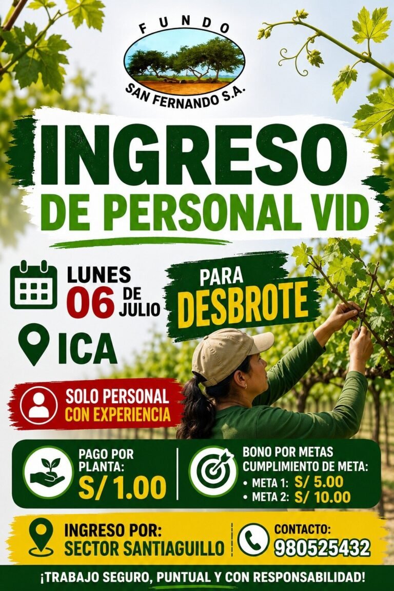 Personal para desbrote en Fundo San Fernando, Ica