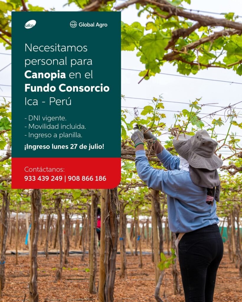 Canopia para Fundo Consorcio en Ica, Safco Perú