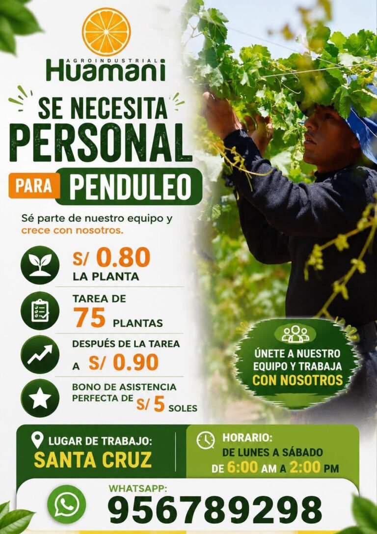 Personal para Penduleo en Agroindustrial Huamani, Pisco Santa Cruz