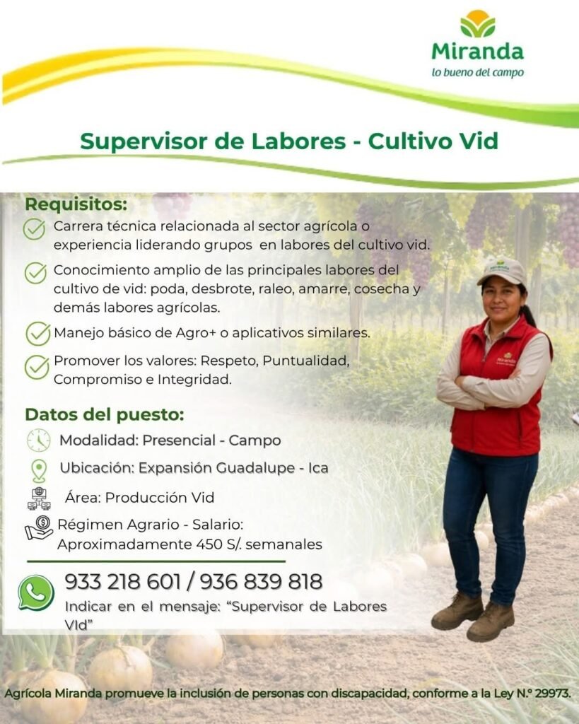 Supervisor de Labores para Cultivo de Vid en Expansión Guadalupe, Ica - Imagen 1