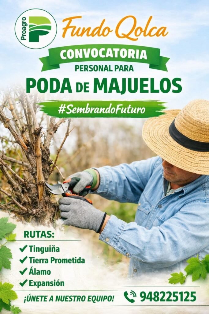 Poda de manuelos en Fundo Qolca