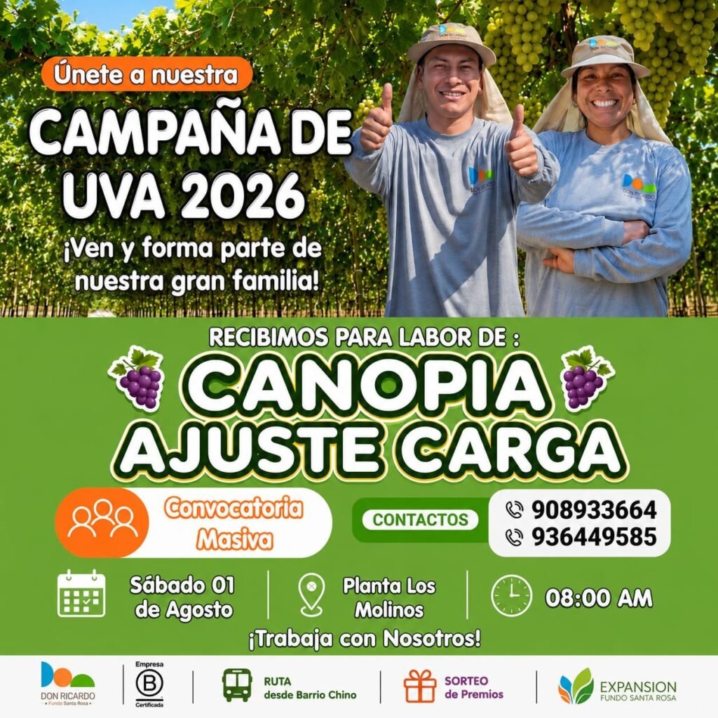 Trabajador Agrícola para Campaña de Uva en Fundo Santa Rosa - Imagen 1