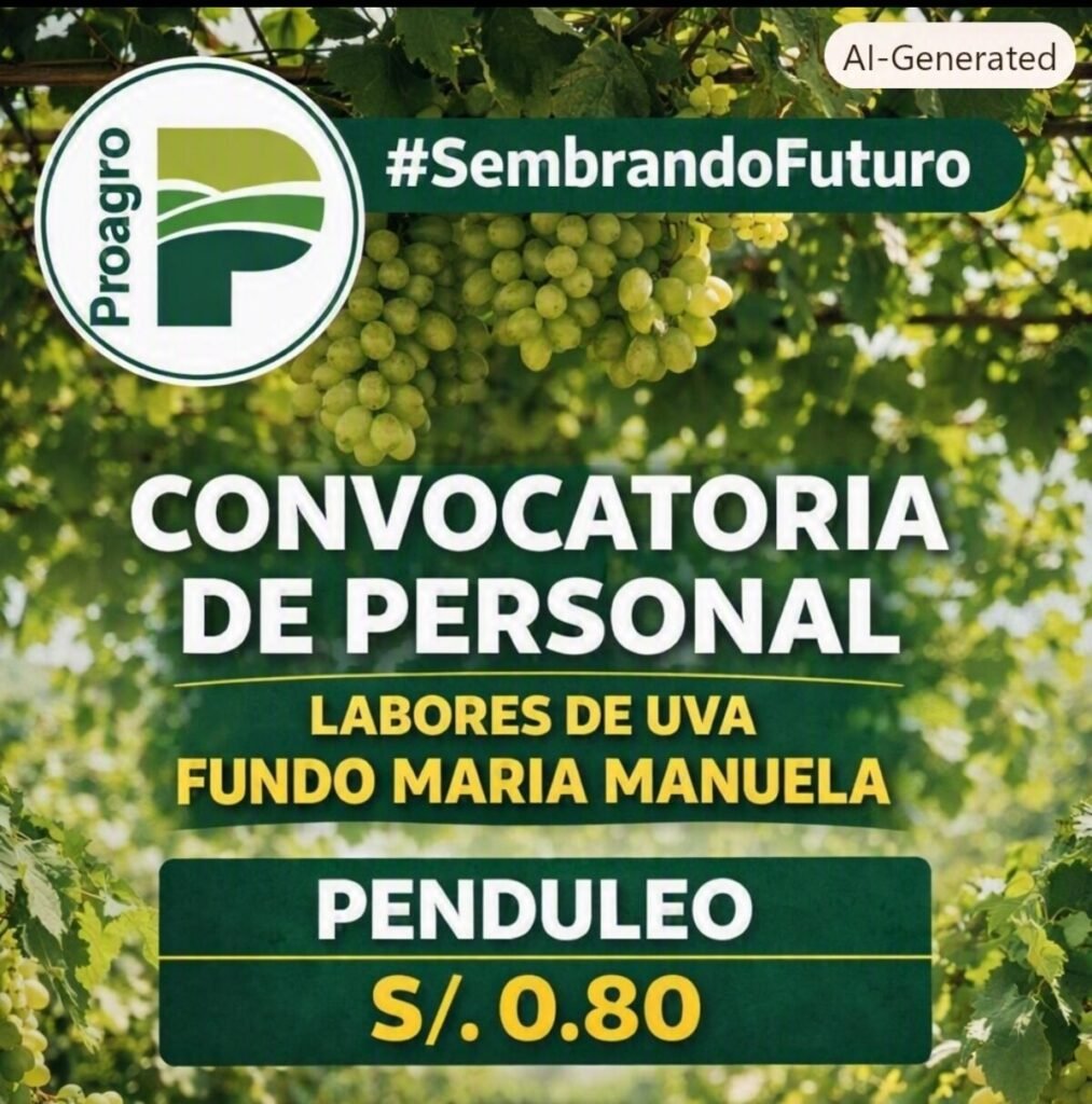 Trabajo en uva Ica | Proagro solicita personal para desbrote, deshoje y penduleo