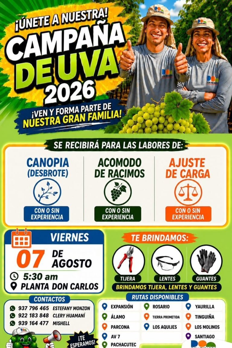 Campaña de Uva 2026 – Planta Don Carlos