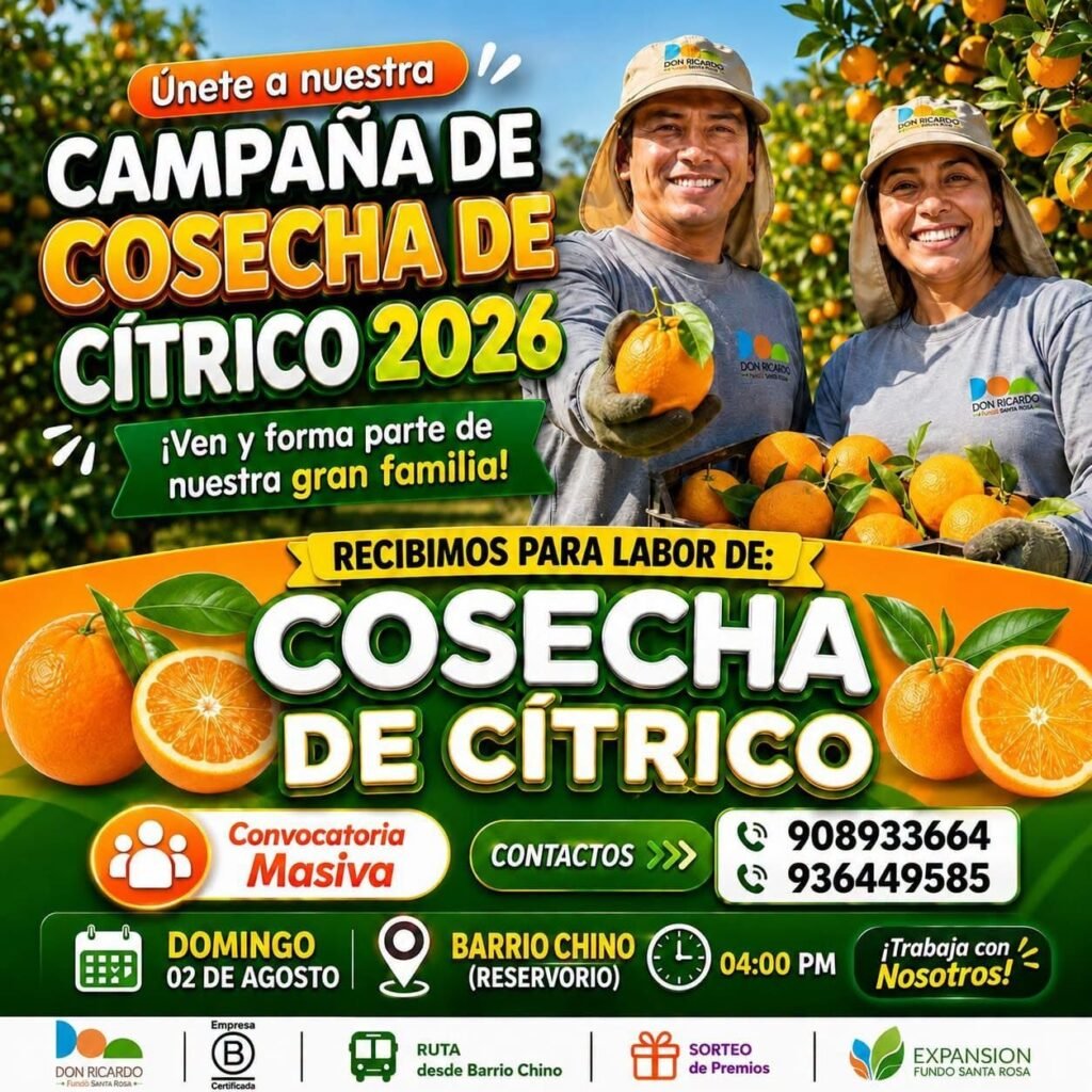 Campaña de Cosecha de Cítrico 2026 en Agricola Don Ricardo